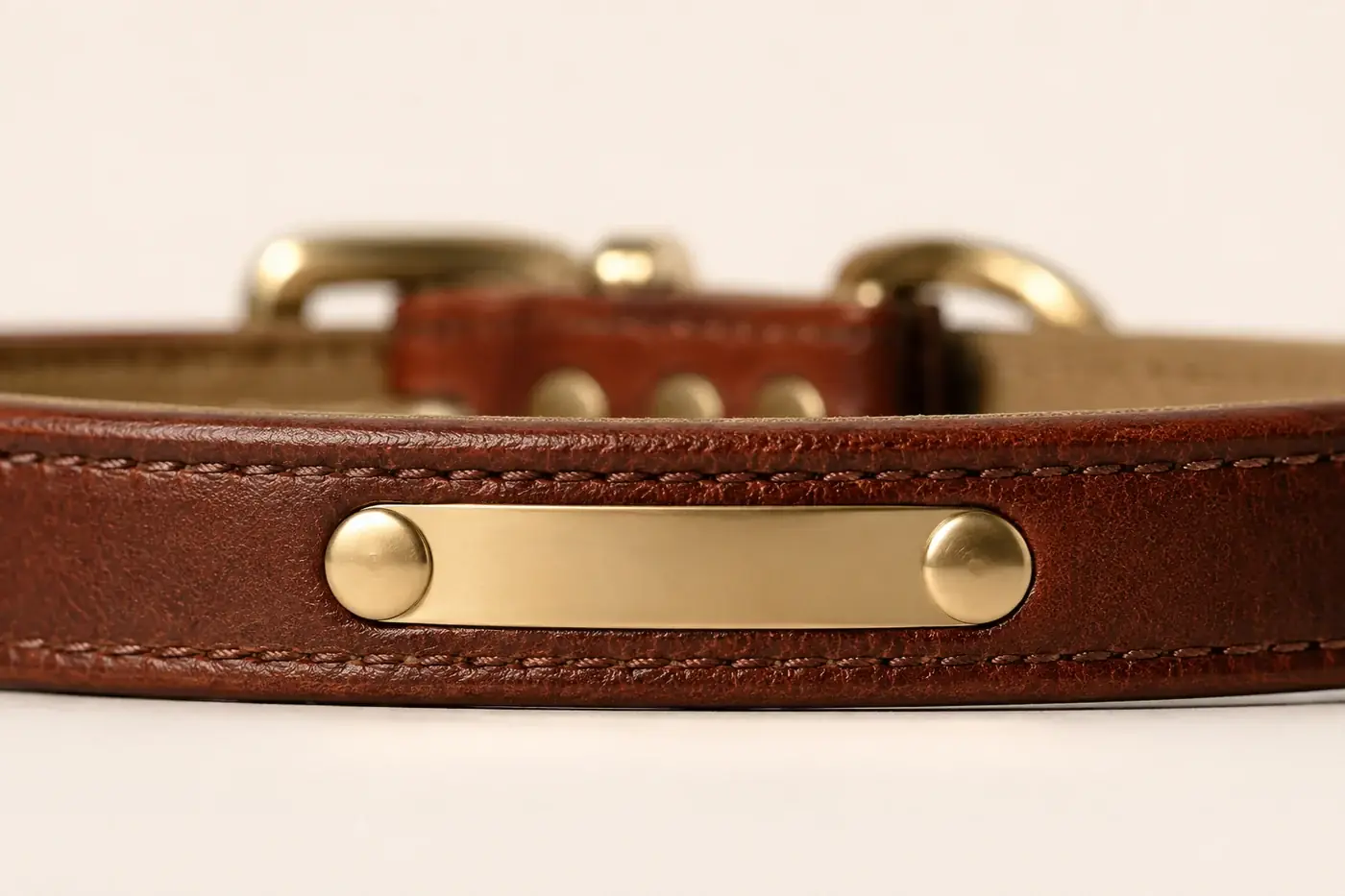 Brown leather collar strap seen from the side, the brass plate held flat against it by two domed rivets
