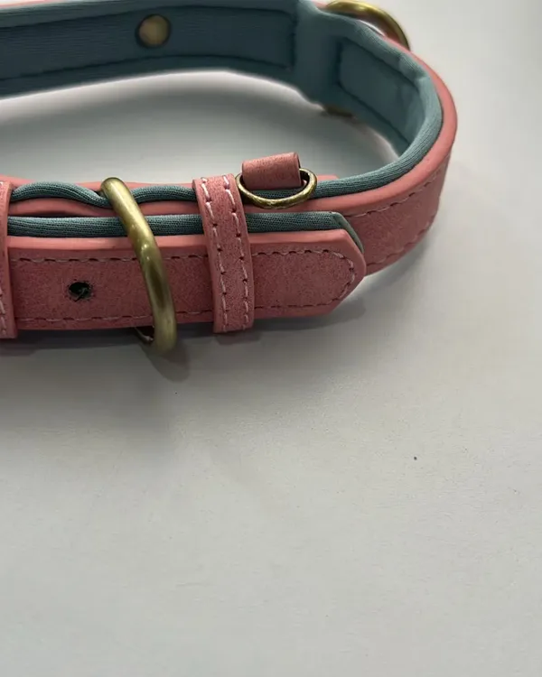 Leather Dog Collar with Name Plate photographed by Julie M., a verified buyer